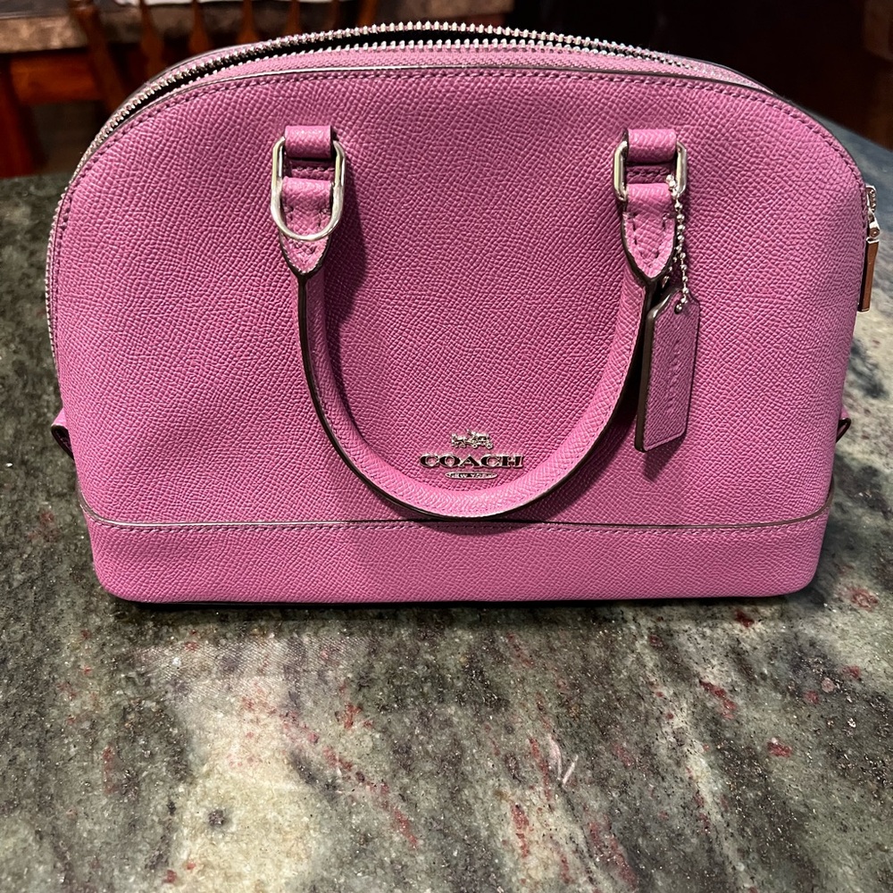 Coach mini sierra